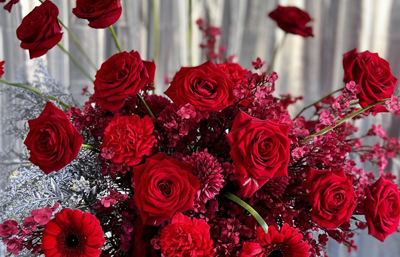 Gros plan fleurs rouges